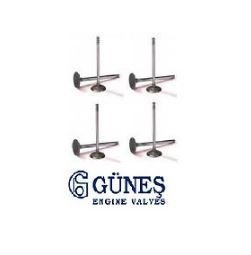 NS40 / V50 / C30 / NS80 1.6 DİZEL MOTORLARDA KULLANILAN EMME SUBAPI