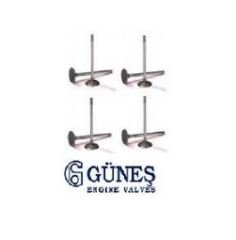 NS40 / V50 / C30 / NS80 1.6 DİZEL MOTORLARDA KULLANILAN EMME SUBAPI