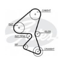 TRİGER KAYIŞI NS40/V50/C30 1.6D D2 MOTOR