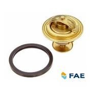 NS40/V50/C30 D4164T TERMOSTAT