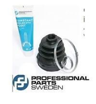 AKİS KÖRÜĞÜ İÇ