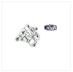 NS40 AMPUL YUVASI SOL