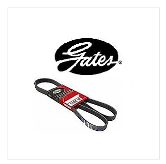 S60/S80/V40/V60/V70 V KAYIŞI (ALTERNATÖR KAYIŞI)