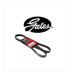 S60/S80/V40/V60/V70 V KAYIŞI (ALTERNATÖR KAYIŞI)