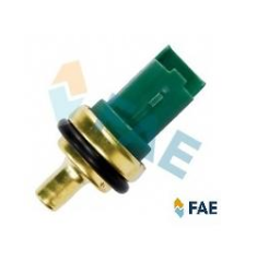 ECT ( ISI ) SENSÖRÜ / HARARET SENSÖRÜ