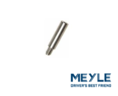 FREN KALİPERİ PİMİ ARKA /S60/S80/V70/480