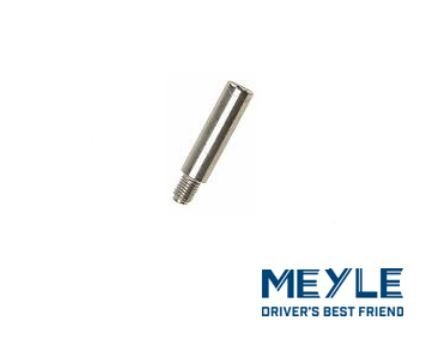 FREN KALİPERİ PİMİ ARKA /S60/S80/V70/480