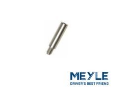 FREN KALİPERİ PİMİ ARKA /S60/S80/V70/480